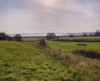 Scenic view of field against sky