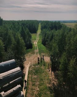 Panoramic shot of trees on landscape against sky