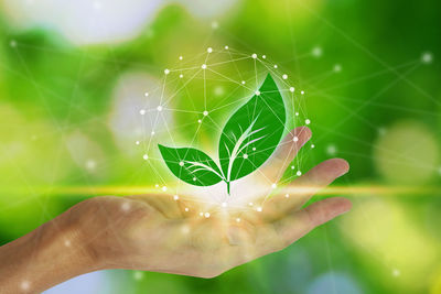 Close-up of hand holding leaf