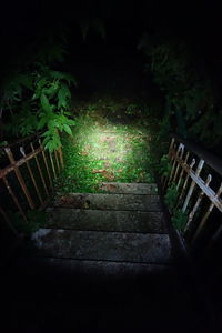 High angle view of staircase at night