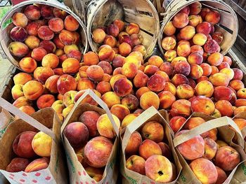 High angle view of apples for sale in market