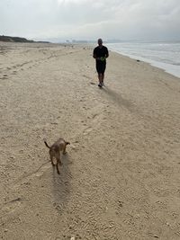 Rear view of man walking with dog on beach