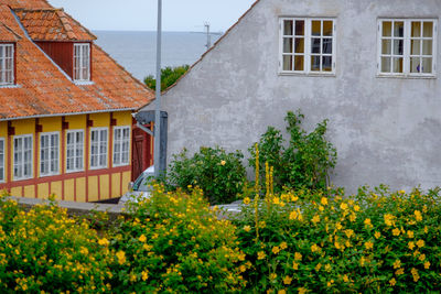 Svaneke at the island of bornholm