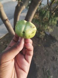 Close-up of hand holding fruit