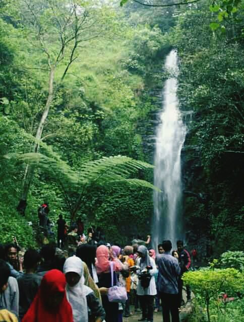 lifestyles, waterfall, men, tree, leisure activity, forest, person, motion, flowing water, nature, beauty in nature, green color, large group of people, rear view, water, scenics, tourist, hiking, flowing