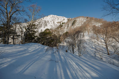 Snow covered land and trees against sky