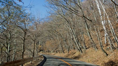 Empty road amidst trees in forest