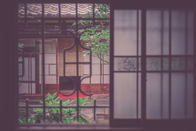 Potted plants on window of building