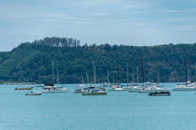 Sailboats moored in sea against sky