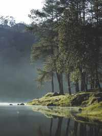 Scenic view of lake by trees against sky