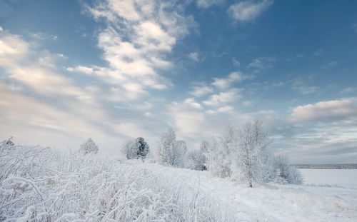 Scenic view of snow covered landscape