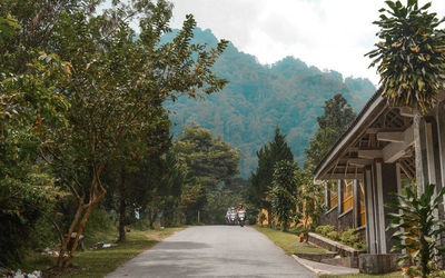 Road amidst trees and buildings against sky