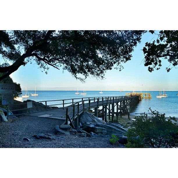 sea, horizon over water, water, tranquil scene, tranquility, tree, beach, scenics, beauty in nature, sky, nature, shore, idyllic, sand, sunlight, auto post production filter, blue, vacations, branch, day