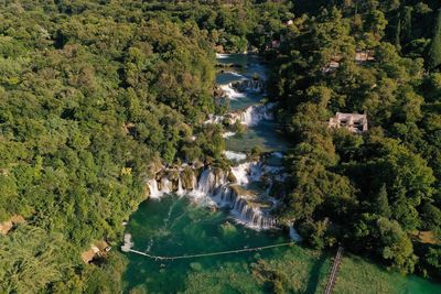 High angle view of river amidst trees in forest