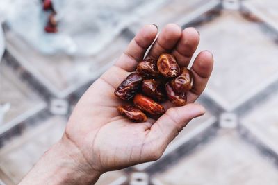 High angle view of hand holding crab