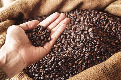 Close-up of hand holding coffee beans