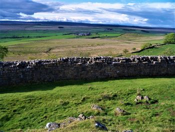Scenic view of grassy field against sky