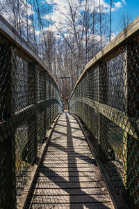 Shadow of bare trees on footbridge