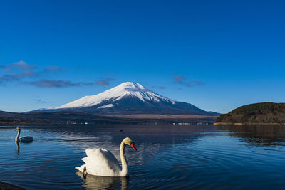 Scenic view of lake and snowcapped mountains against blue sky