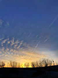 Silhouette bare trees against sky during sunset