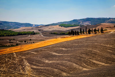 Scenic view of agricultural field against clear sky