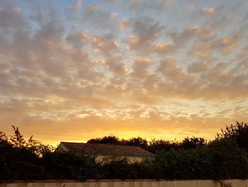 Silhouette trees against sky during sunset