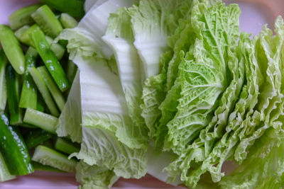 Close-up of fresh green leaves with vegetables