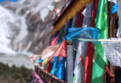 Low angle view of multi colored hanging