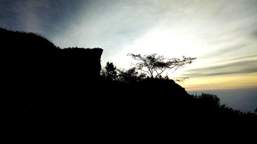 Silhouette trees against sky