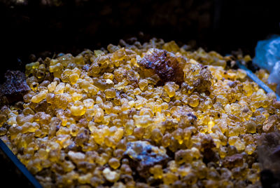 Close-up view of food