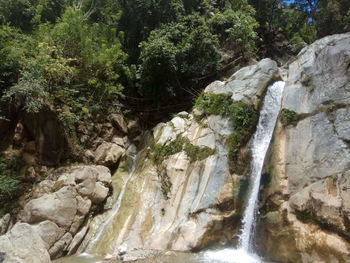 Scenic view of waterfall in forest