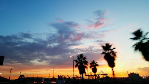 Silhouette of palm trees at sunset