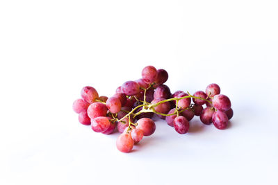 Close-up of berries against white background