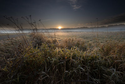 Scenic view of field against sky during sunset