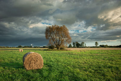 Round bale of hay lying on the green meadow and cloudy sky