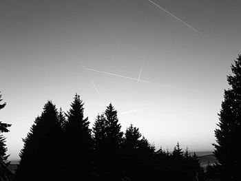 Silhouette trees against clear sky