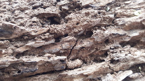 Full frame shot of rocks