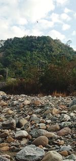 Surface level of stones against sky in forest