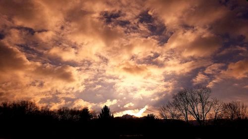 Low angle view of silhouette trees against sky during sunset