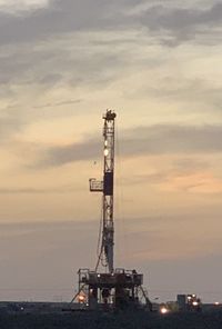 Crane by sea against sky during sunset