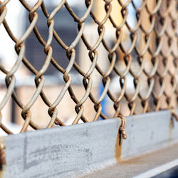 Close-up of padlock on chainlink fence