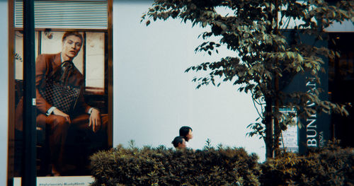 People sitting by tree against sky