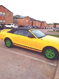 Cars parked at roadside