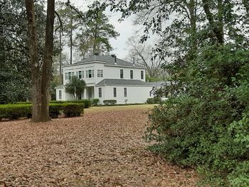 Houses and trees on field against house