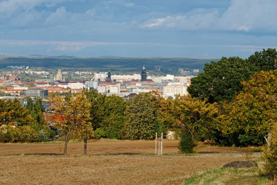 Trees and plants growing on field against sky