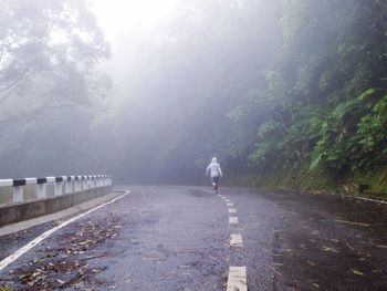 Man walking on road by trees against sky