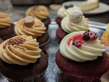 Close-up of cupcakes on plate