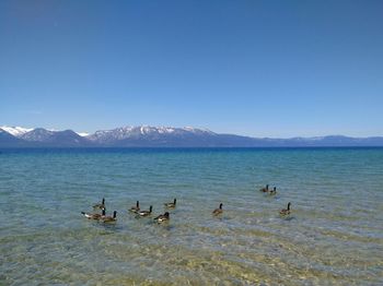 Scenic view of mountain range