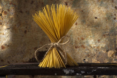 Close-up of raw spaghetti tied with rope on table