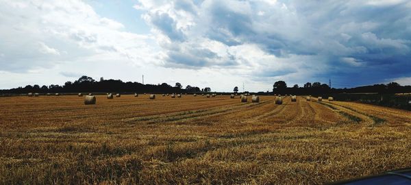 Scenic view of agricultural field against sky